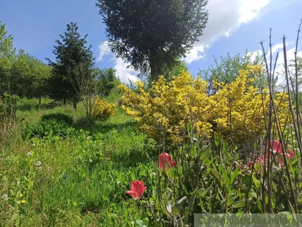 Rodinný dom na predaj 60m2, Humenné, 125630_22