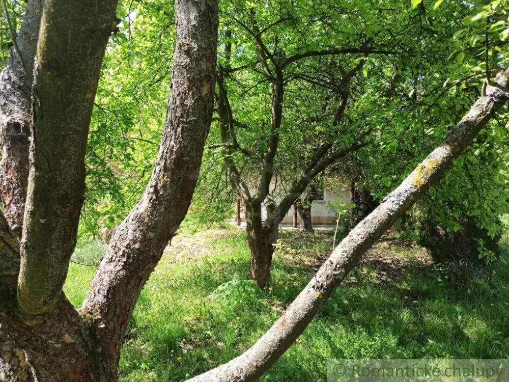 Rodinný dom na predaj 60m2, Humenné, 125630_30