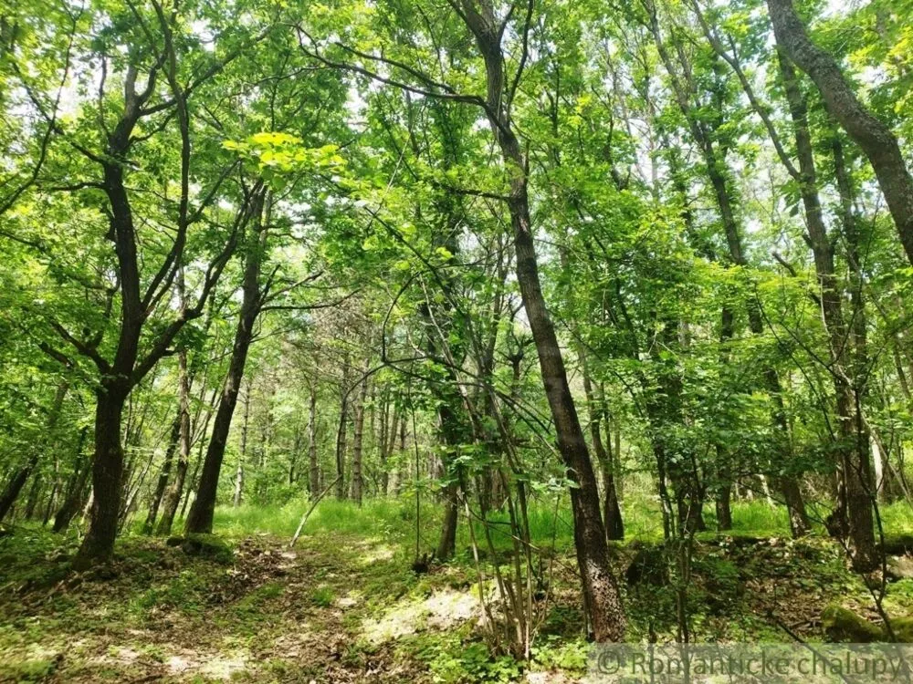 Lesy na predaj 28386m2, Hrušov, 126478_2