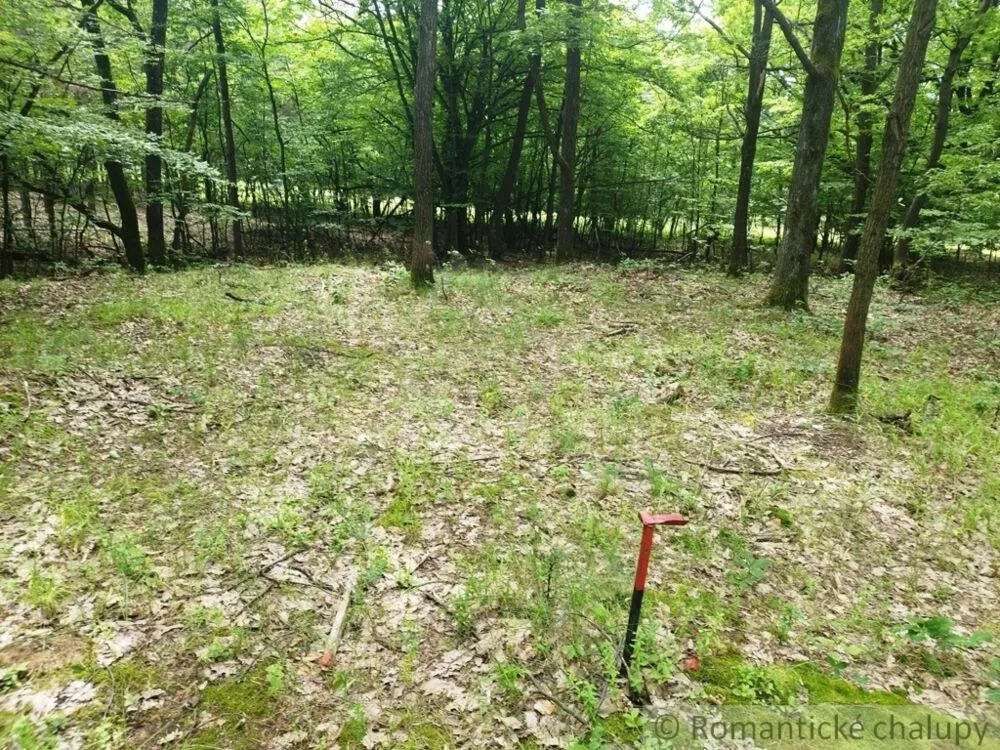 Lesy na predaj 28386m2, Hrušov, 126478_7