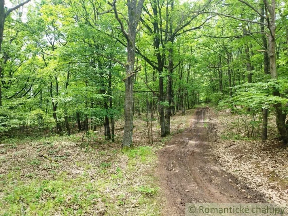 Lesy na predaj 28386m2, Hrušov, 126478_8