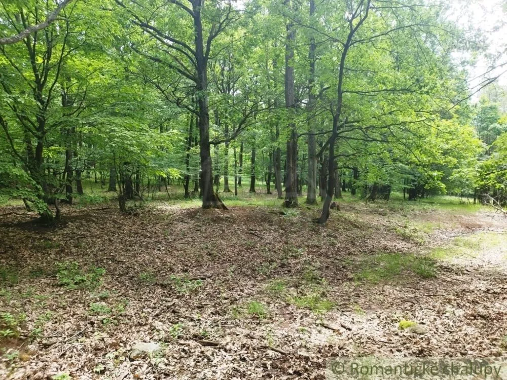 Lesy na predaj 28386m2, Hrušov, 126478_9