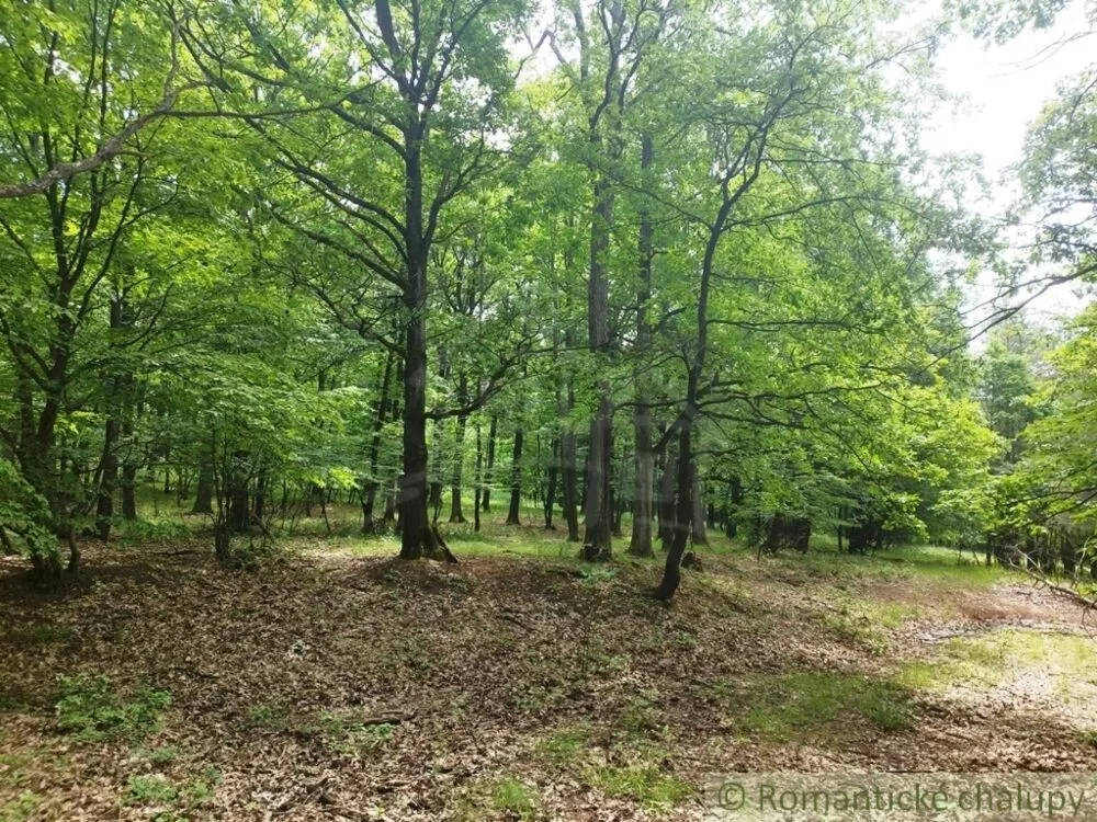 Lesy na predaj 28386m2, Hrušov, 126478_10