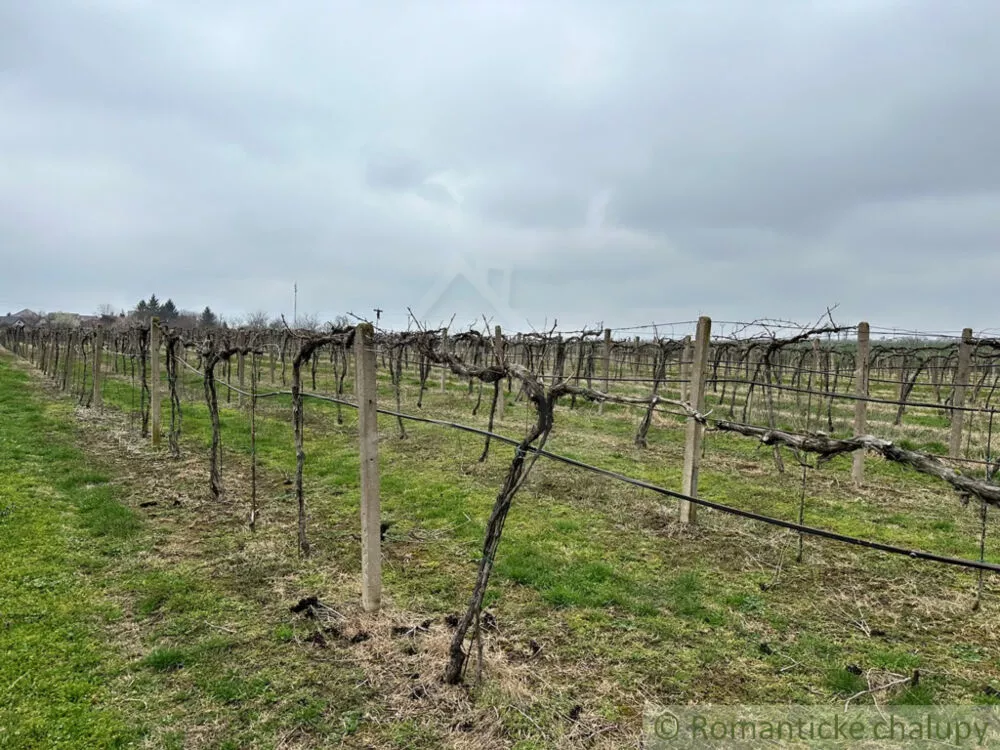 Poľnohosp. objekt na predaj 400m2, Strekov, 136799_0
