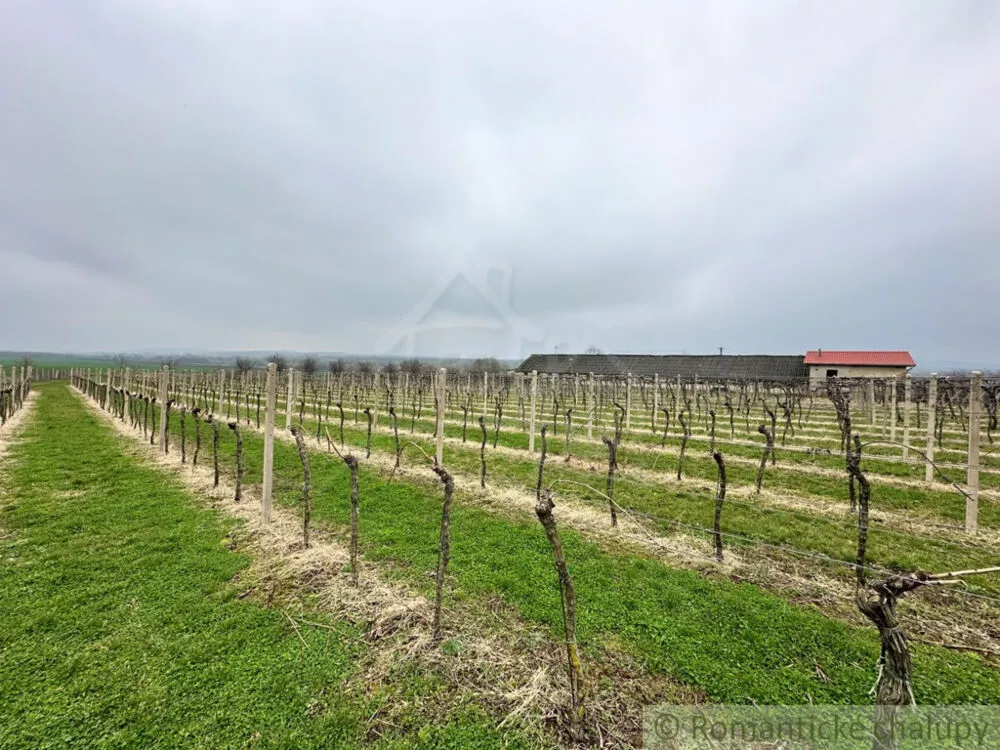 Poľnohosp. objekt na predaj 400m2, Strekov, 136799_1
