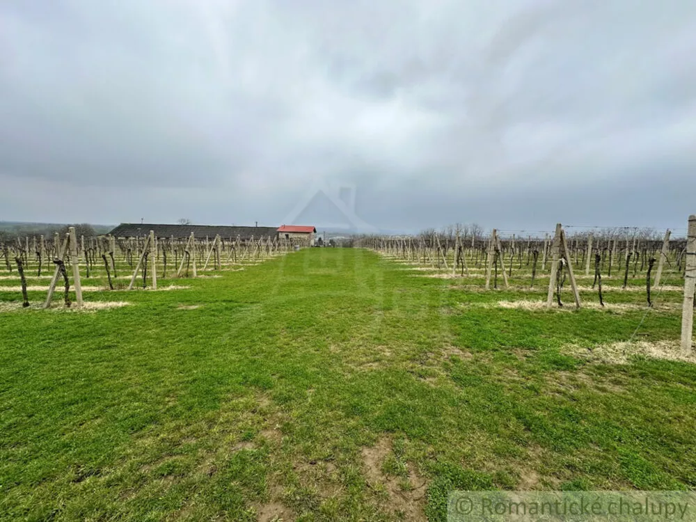 Poľnohosp. objekt na predaj 400m2, Strekov, 136799_3