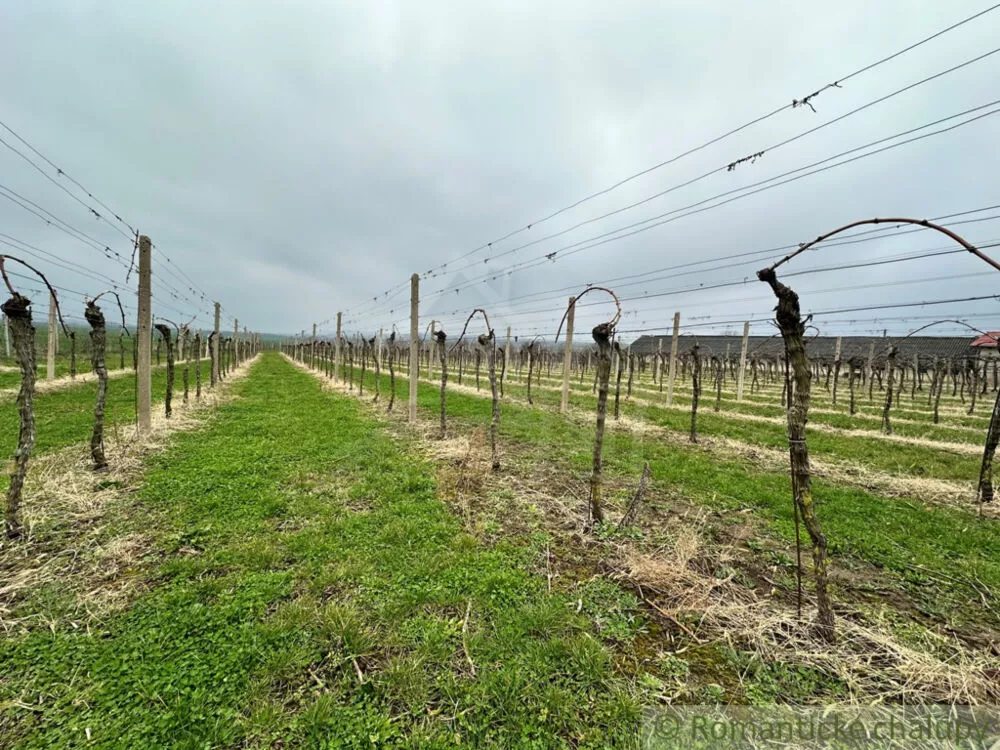 Poľnohosp. objekt na predaj 400m2, Strekov, 136799_4