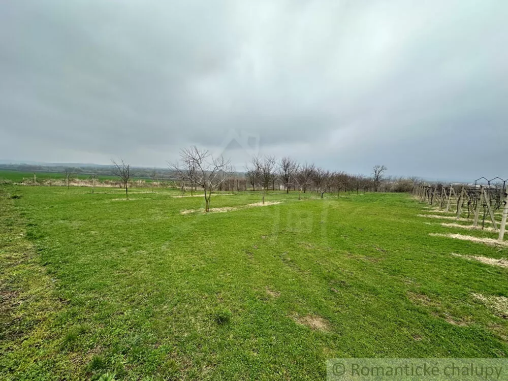 Poľnohosp. objekt na predaj 400m2, Strekov, 136799_5