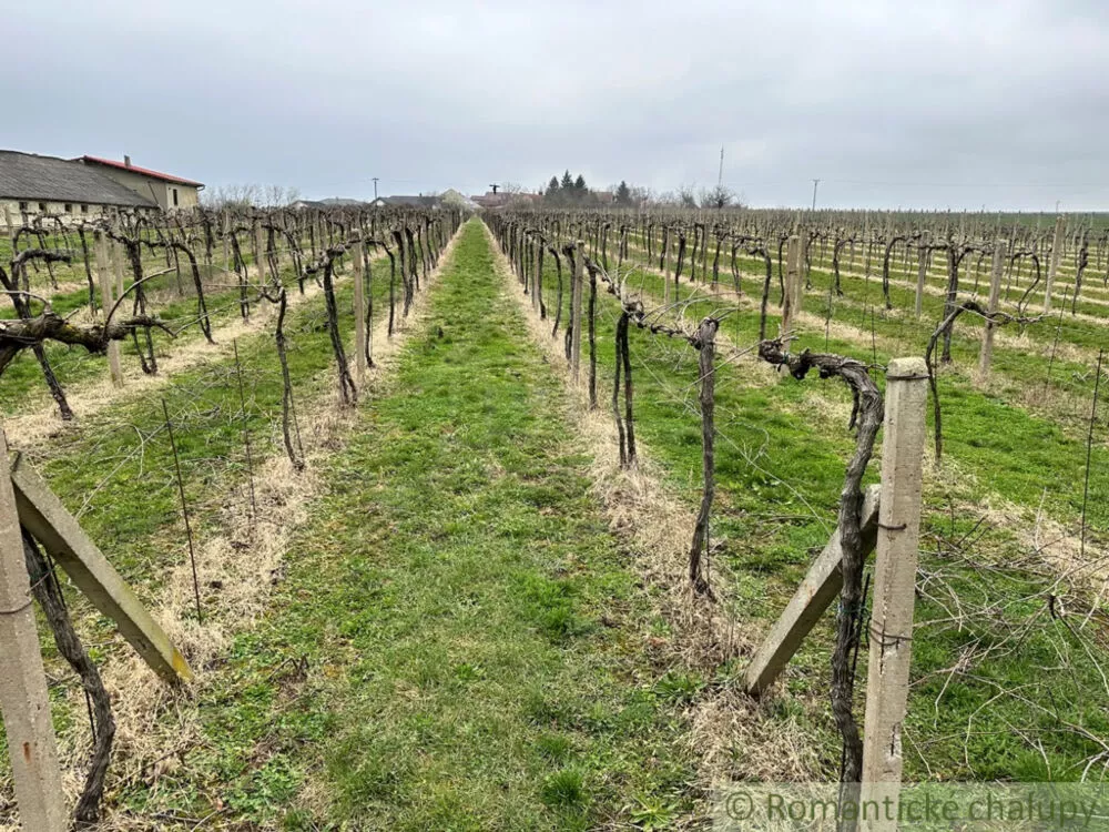 Poľnohosp. objekt na predaj 400m2, Strekov, 136799_8