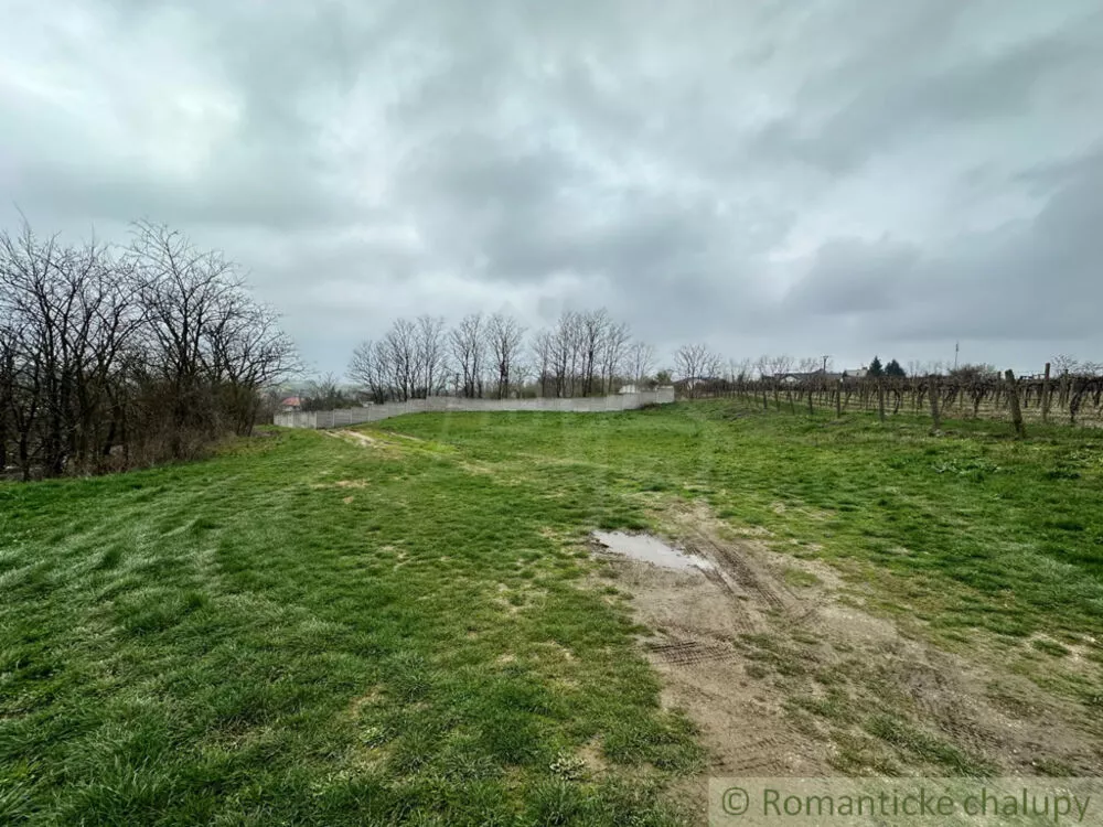 Poľnohosp. objekt na predaj 400m2, Strekov, 136799_17