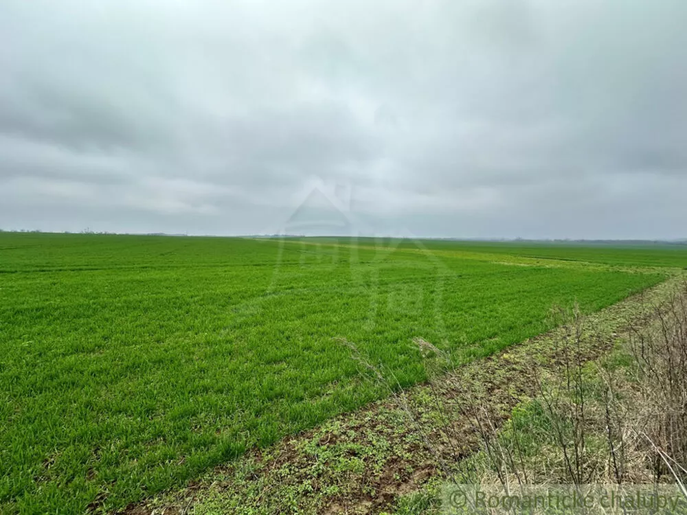 Poľnohosp. objekt na predaj 400m2, Strekov, 136799_18