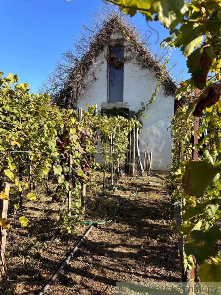 Chata a chalupa na predaj 50m2, Nové Zámky, 145125_4