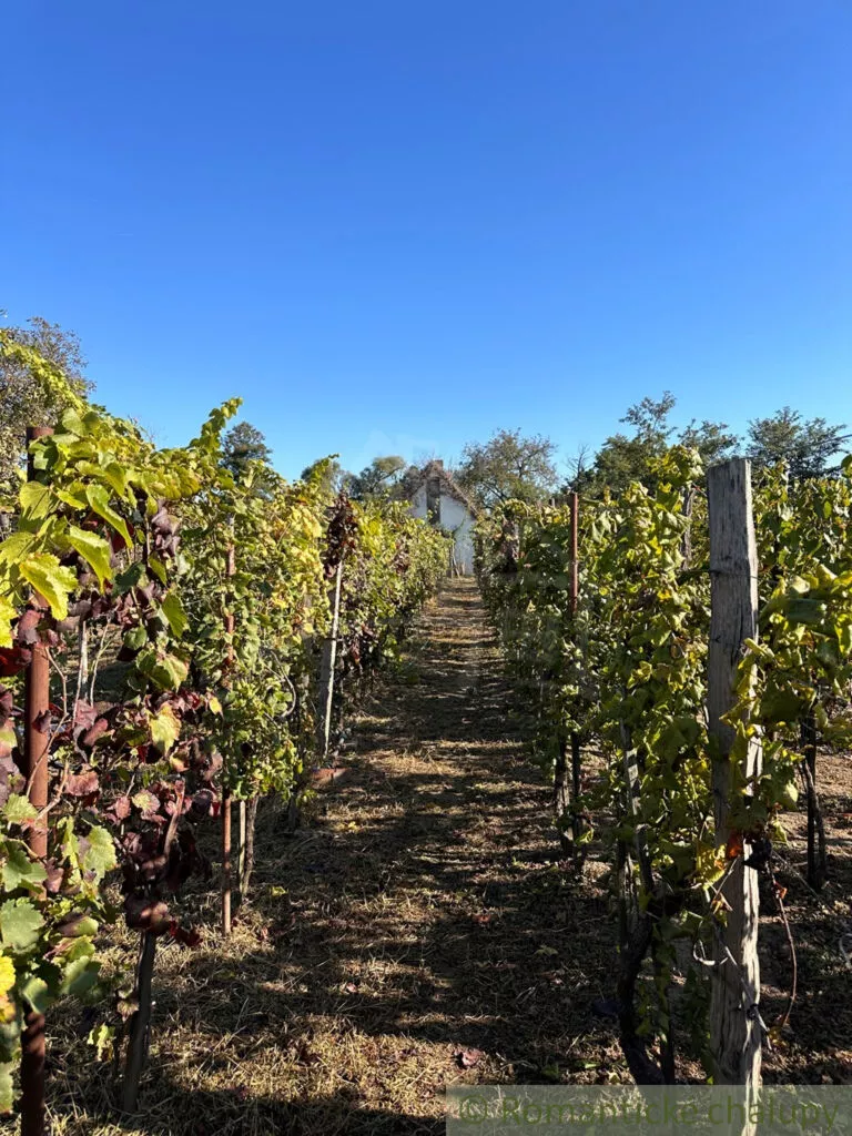 Chata a chalupa na predaj 50m2, Nové Zámky, 145125_19