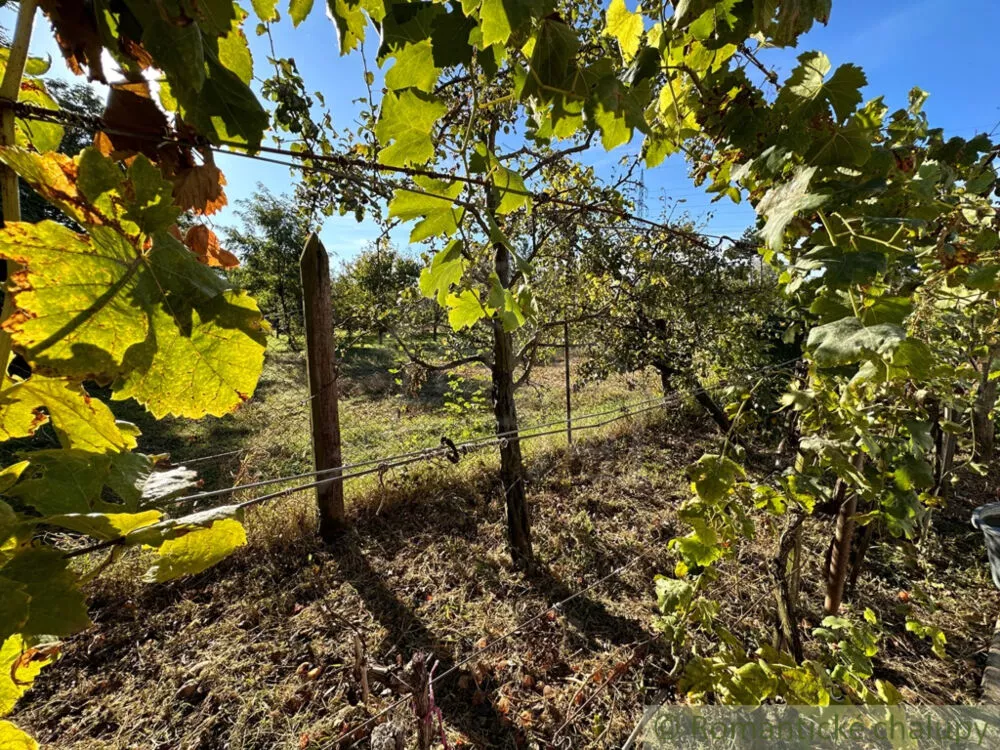 Chata a chalupa na predaj 50m2, Nové Zámky, 145125_21