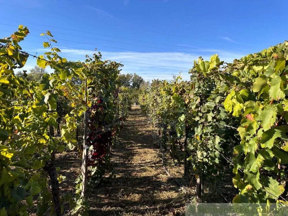 Chata a chalupa na predaj 50m2, Nové Zámky, 145125_23