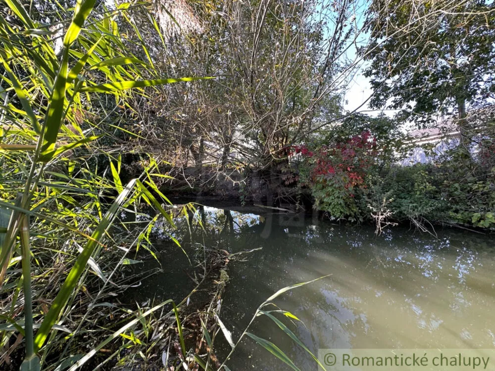 Chata a chalupa na predaj 50m2, Nové Zámky, 145125_25