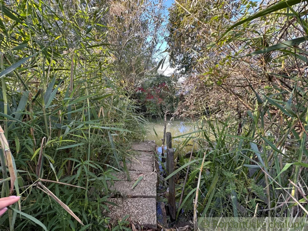 Chata a chalupa na predaj 50m2, Nové Zámky, 145125_26