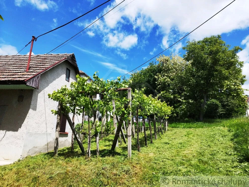 Chata a chalupa na predaj 33m2, Vinica, 154081_1