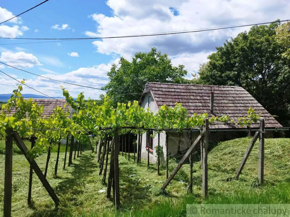 Chata a chalupa na predaj 33m2, Vinica, 154081_2