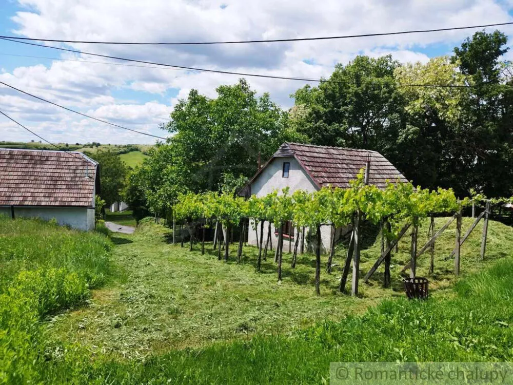 Chata a chalupa na predaj 33m2, Vinica, 154081_3