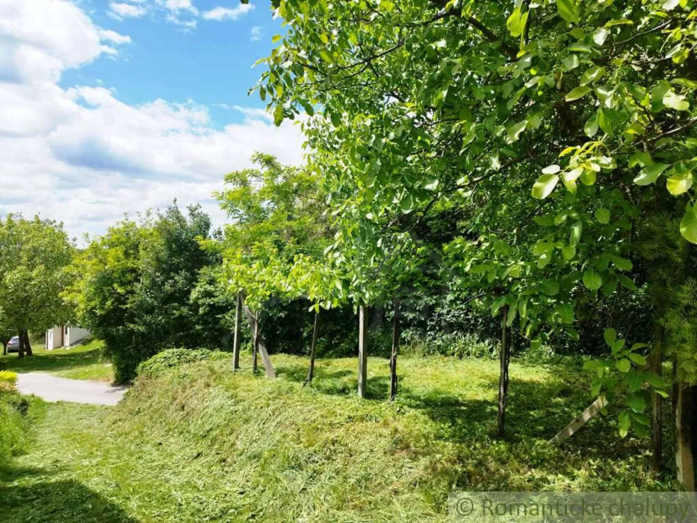 Chata a chalupa na predaj 33m2, Vinica, 154081_5