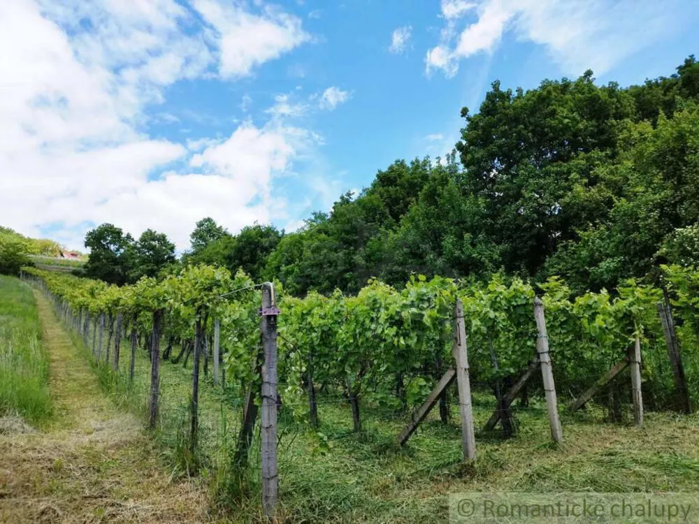 Chata a chalupa na predaj 33m2, Vinica, 154081_15