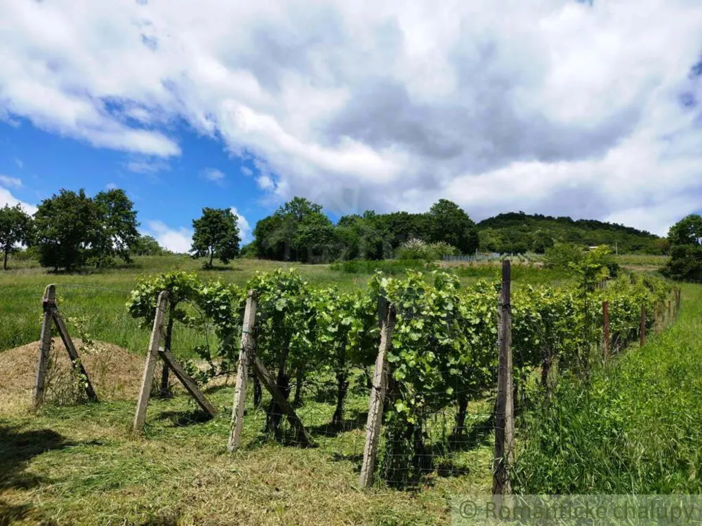 Chata a chalupa na predaj 33m2, Vinica, 154081_17