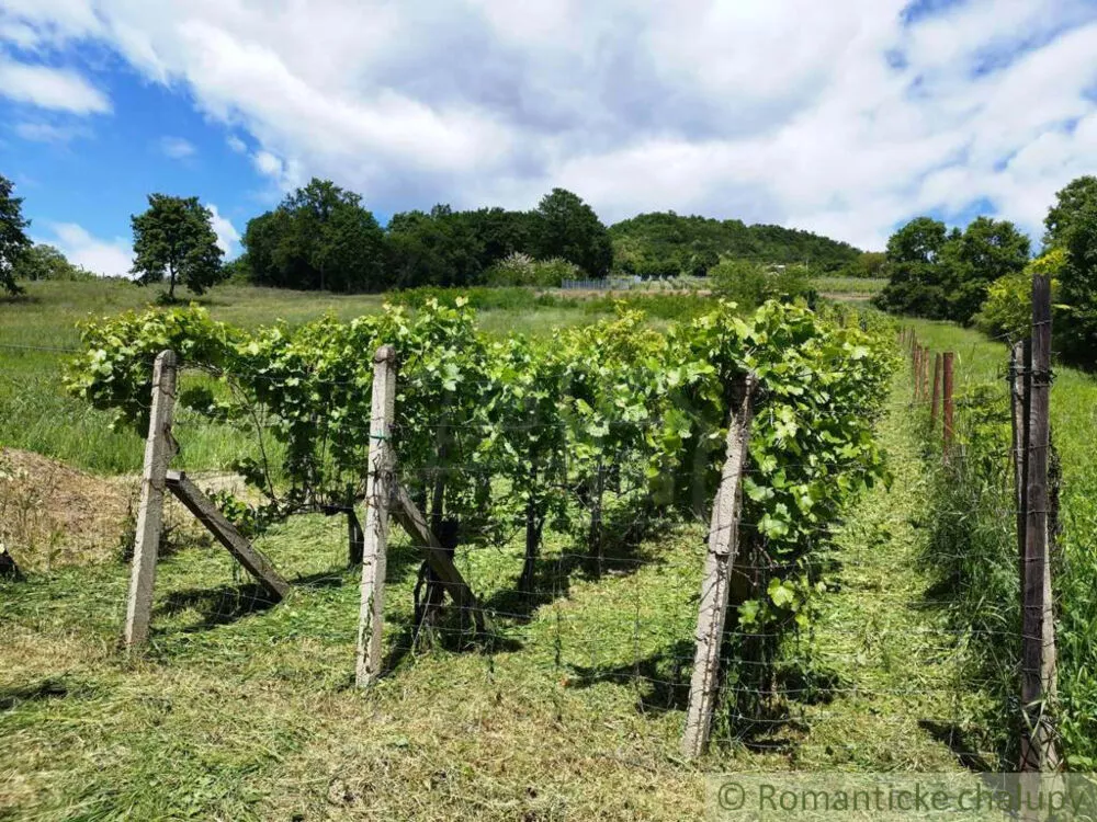 Chata a chalupa na predaj 33m2, Vinica, 154081_18