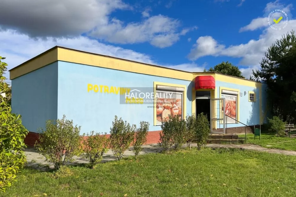 Polyfunkčný objekt na predaj 229m2, Veľké Kozmálovce, 161201_0