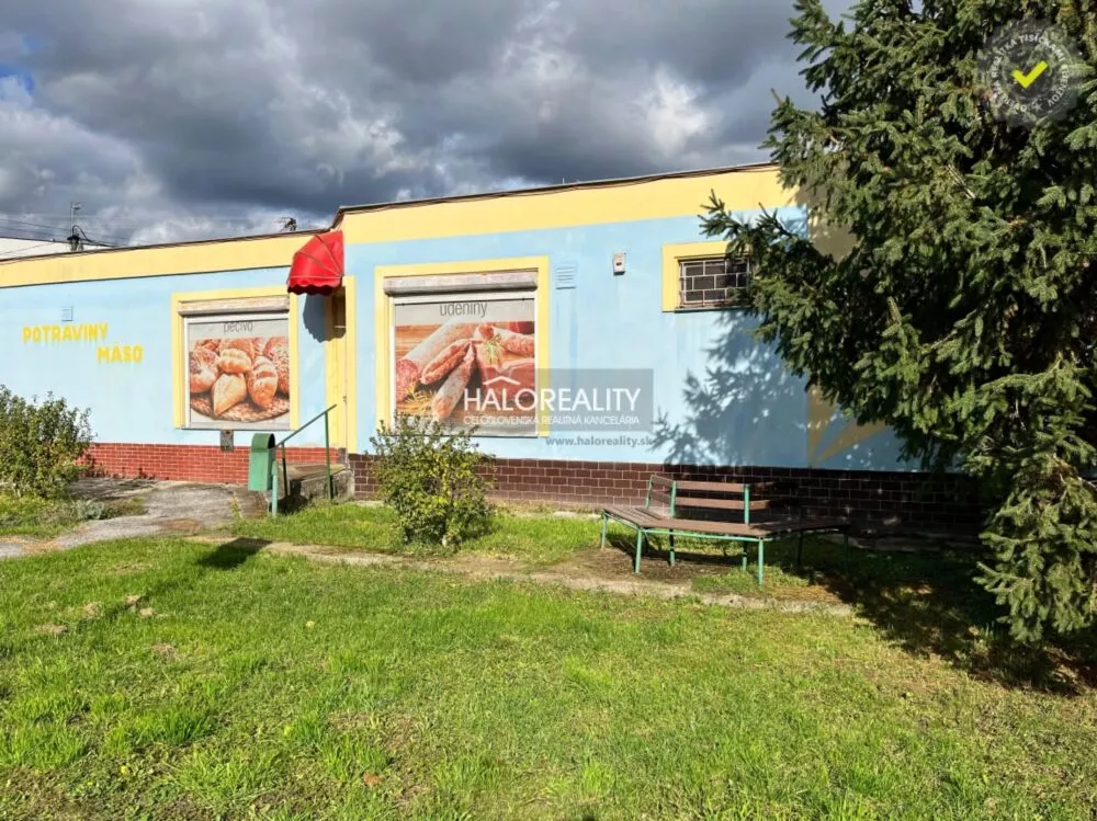 Polyfunkčný objekt na predaj 229m2, Veľké Kozmálovce, 161201_1