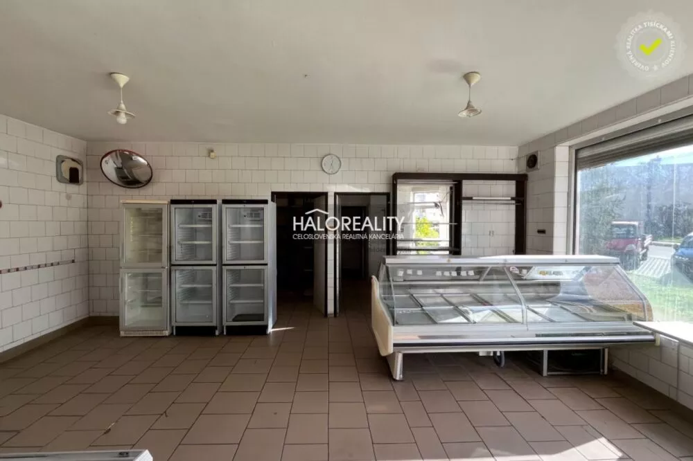 Polyfunkčný objekt na predaj 229m2, Veľké Kozmálovce, 161201_2