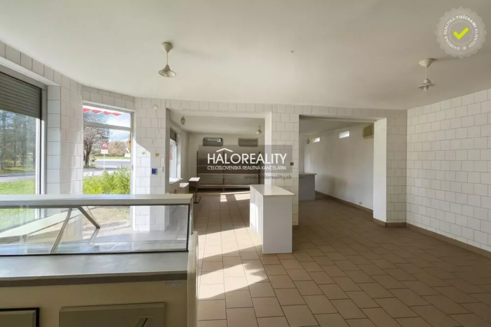 Polyfunkčný objekt na predaj 229m2, Veľké Kozmálovce, 161201_3