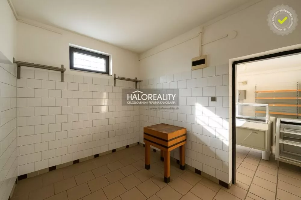 Polyfunkčný objekt na predaj 229m2, Veľké Kozmálovce, 161201_9