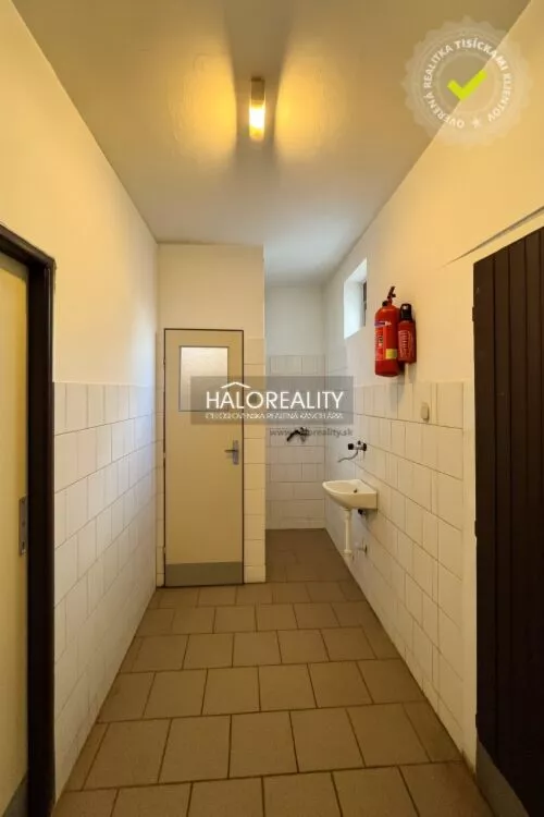 Polyfunkčný objekt na predaj 229m2, Veľké Kozmálovce, 161201_11