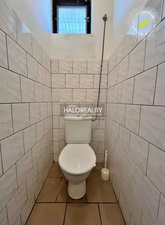 Polyfunkčný objekt na predaj 229m2, Veľké Kozmálovce, 161201_12