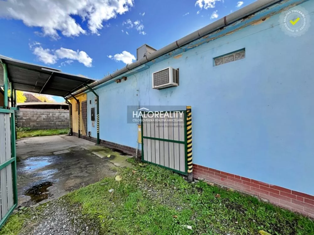 Polyfunkčný objekt na predaj 229m2, Veľké Kozmálovce, 161201_17