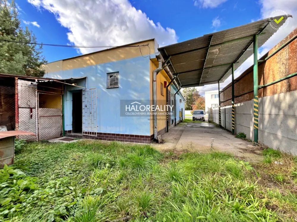 Polyfunkčný objekt na predaj 229m2, Veľké Kozmálovce, 161201_19