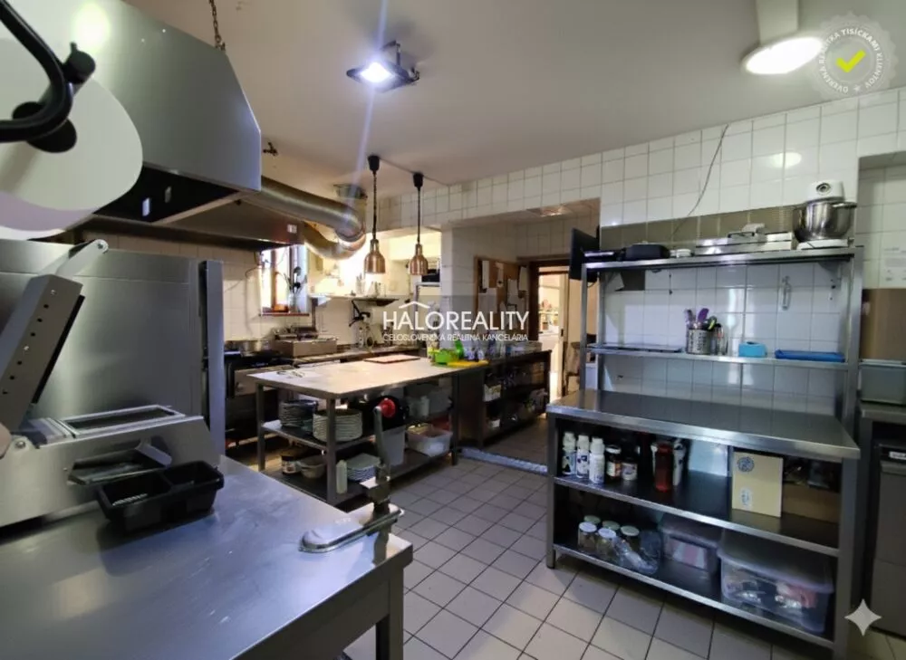 Reštauračné priestory na prenájom 400m2, Dudince, 161231_17