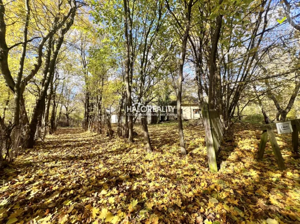 Rodinný dom na predaj 1425m2, Stará Turá, 161417_1