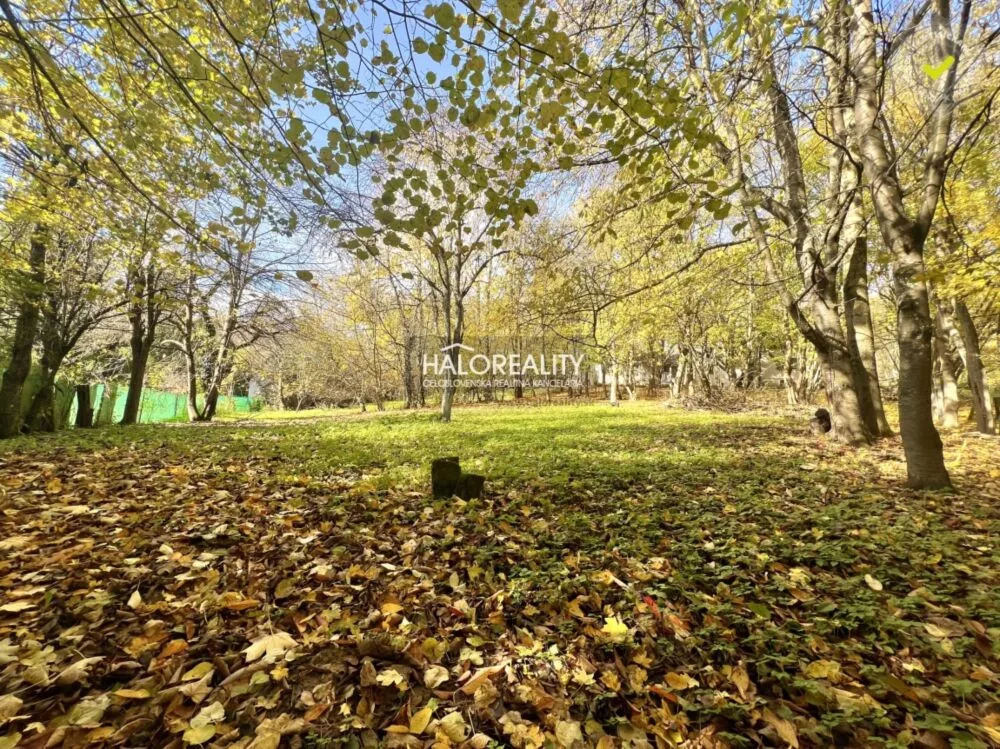 Rodinný dom na predaj 1425m2, Stará Turá, 161417_3