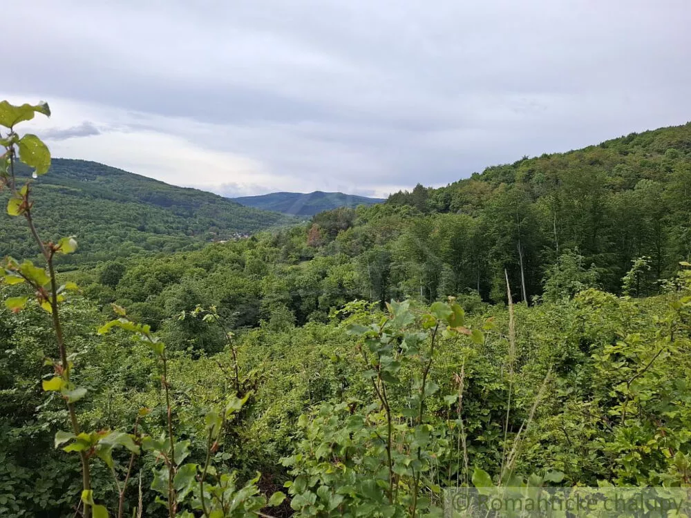 Lesy na predaj 96874m2, Horný Tisovník, 153028_0