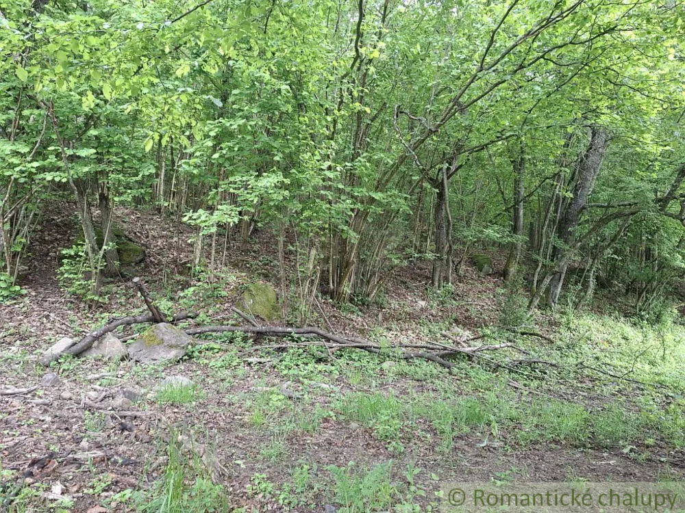 Lesy na predaj 96874m2, Horný Tisovník, 153028_1