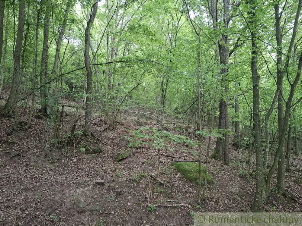 Lesy na predaj 96874m2, Horný Tisovník, 153028_3