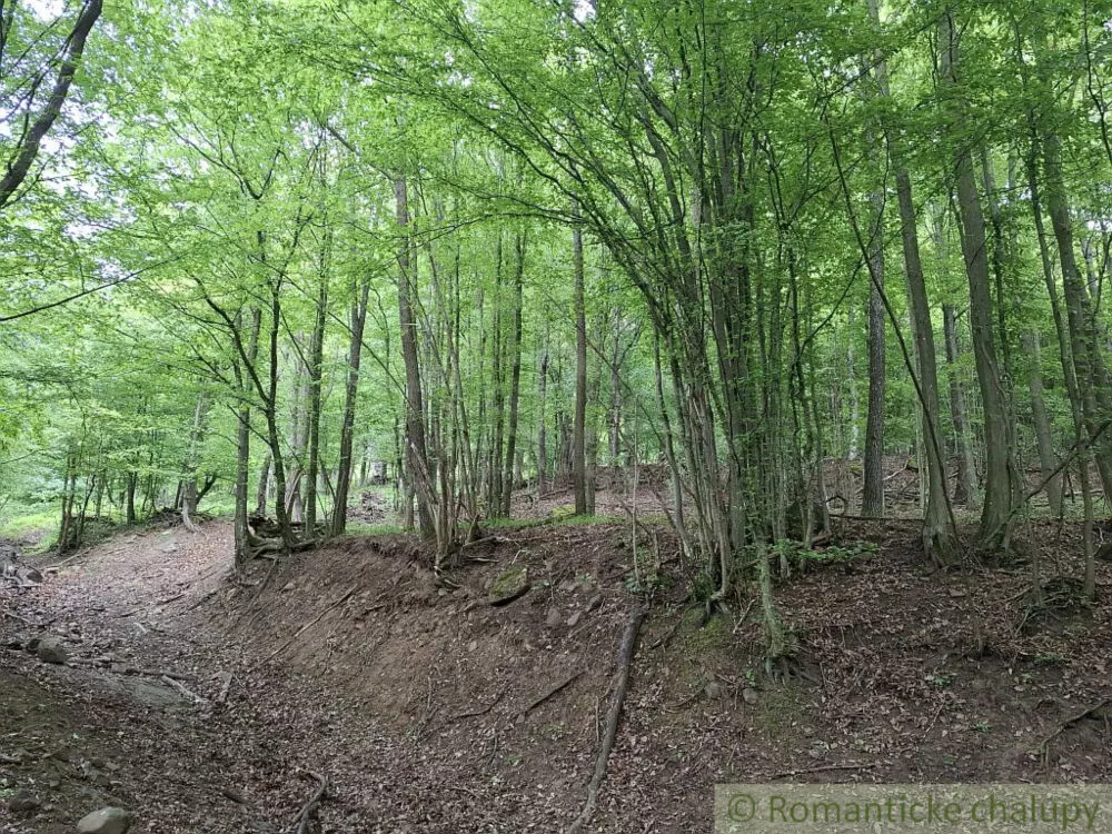 Lesy na predaj 96874m2, Horný Tisovník, 153028_4