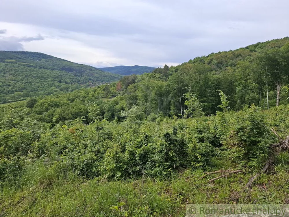 Lesy na predaj 96874m2, Horný Tisovník, 153028_6