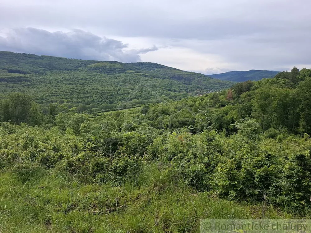 Lesy na predaj 96874m2, Horný Tisovník, 153028_7
