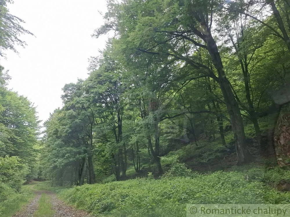 Lesy na predaj 96874m2, Horný Tisovník, 153028_8