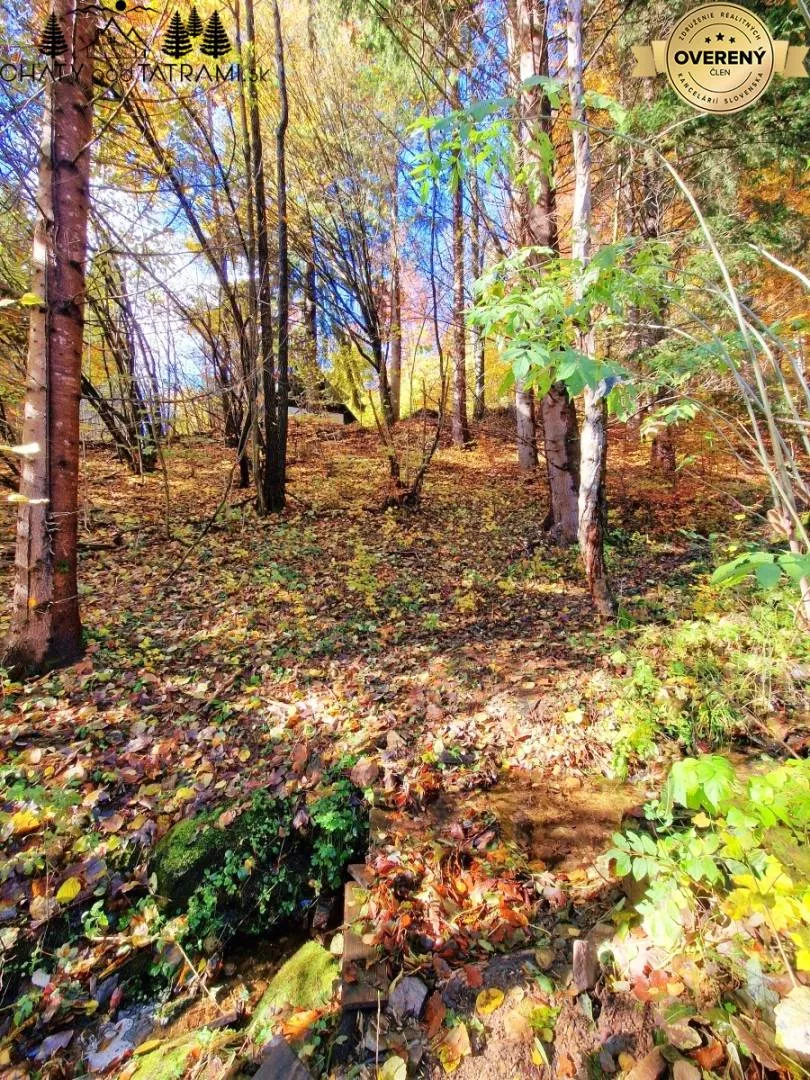 Chata a chalupa na predaj 80m2, Tále, Bystrá, 162001_12