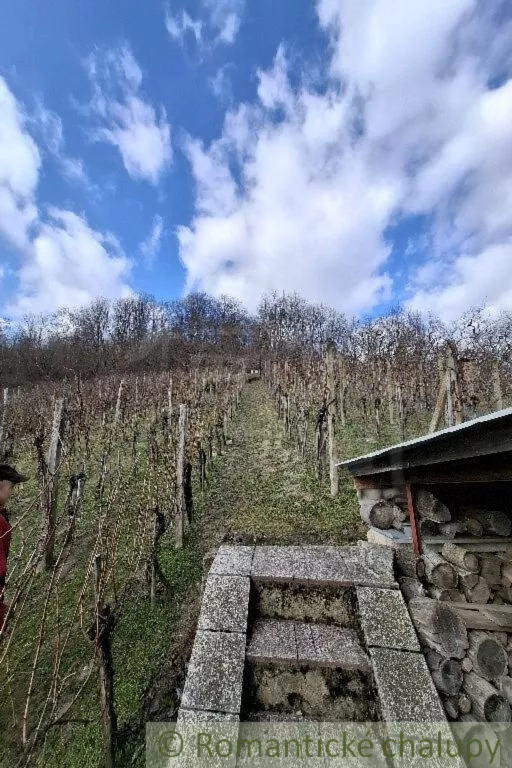 Chata a chalupa na predaj 100m2, Veľký Krtíš, 150533_21