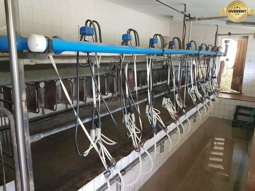 Hotel, penzión na predaj 1m2, Klátova Nová Ves, 162428_10